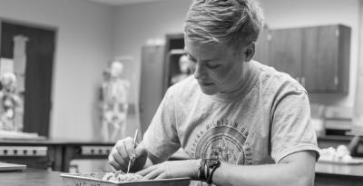 Student performing a dissection